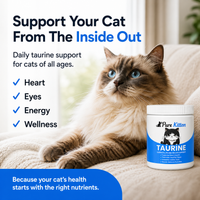 Pure Kitten™ Taurine Supplement