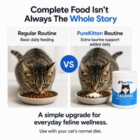 Pure Kitten™ Taurine Supplement